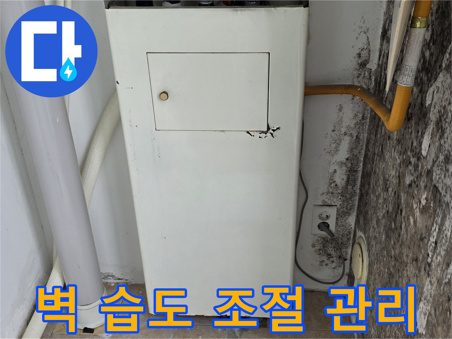 성북구 길음1동 숭인로 - 곰팡이 핀 벽 결로 방지 및 습도 조절 관리를 위한 전문가 방문