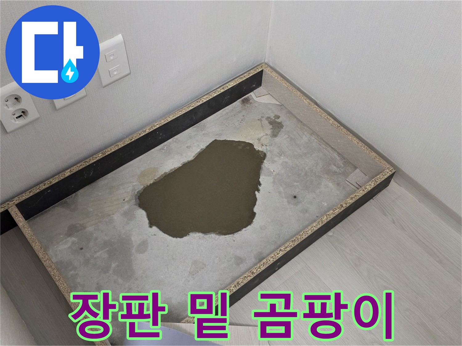 성북구 길음동 누수 - 장판 밑 곰팡이 발견 - 누수 원인 철저 분석 및 곰팡이 제거
