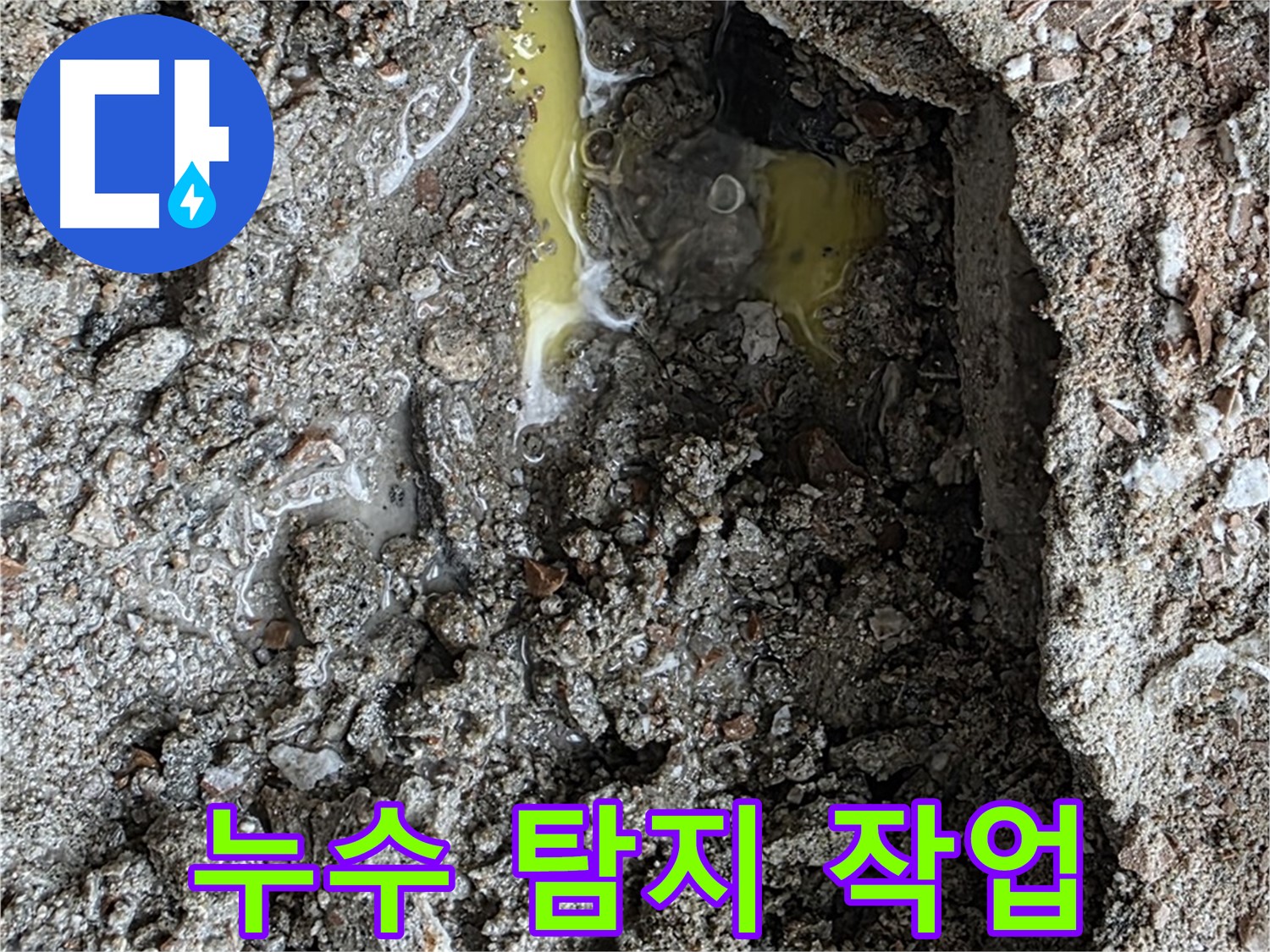 성북구 길음동 누수 탐지 작업 - 전문 장비를 사용하여 정확한 누수 지점을 찾아내는 모습입니다.