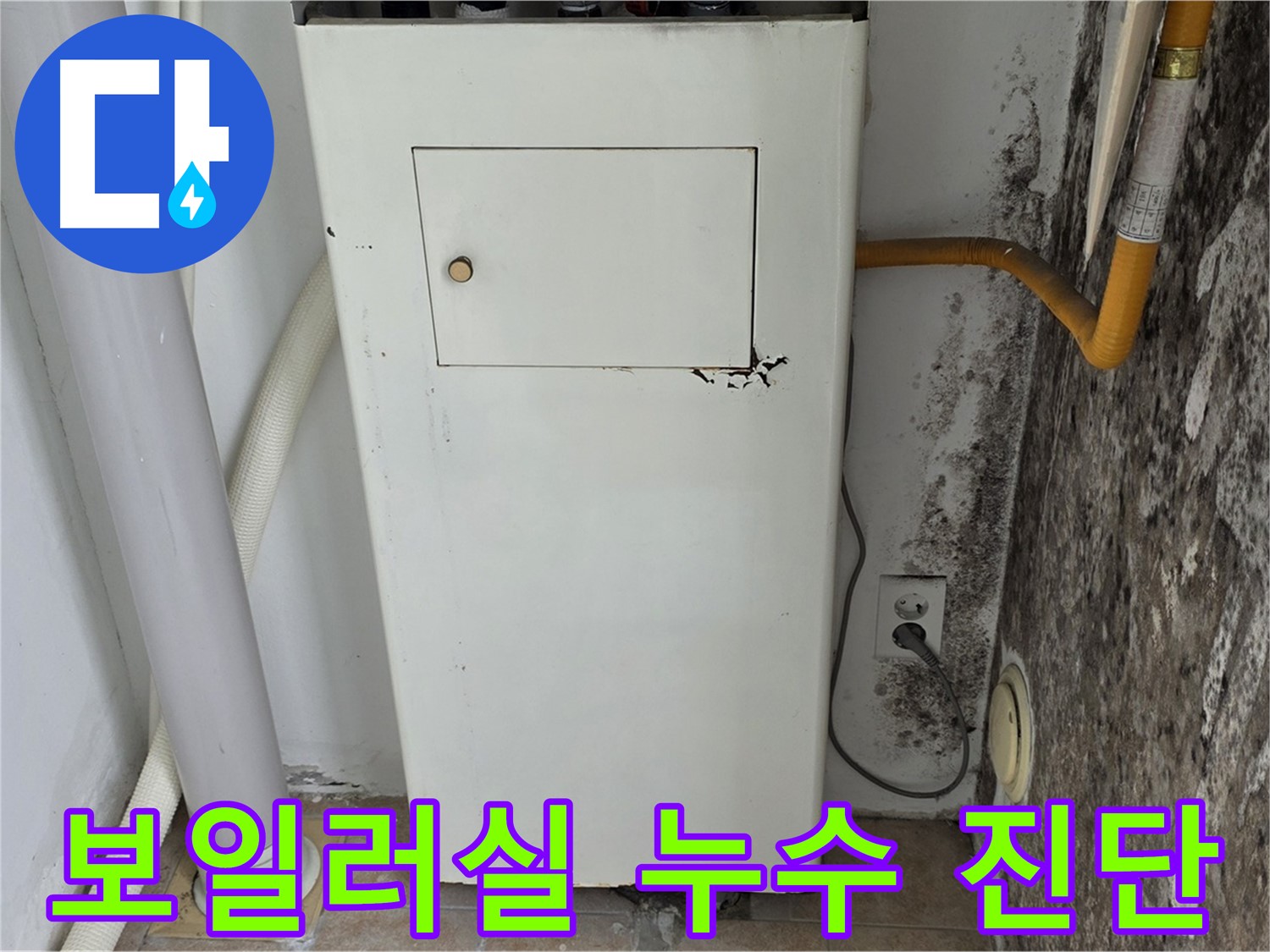 성북구 길음동 숭인로 - 곰팡이 핀 보일러실 누수 진단을 위한 긴급 방문