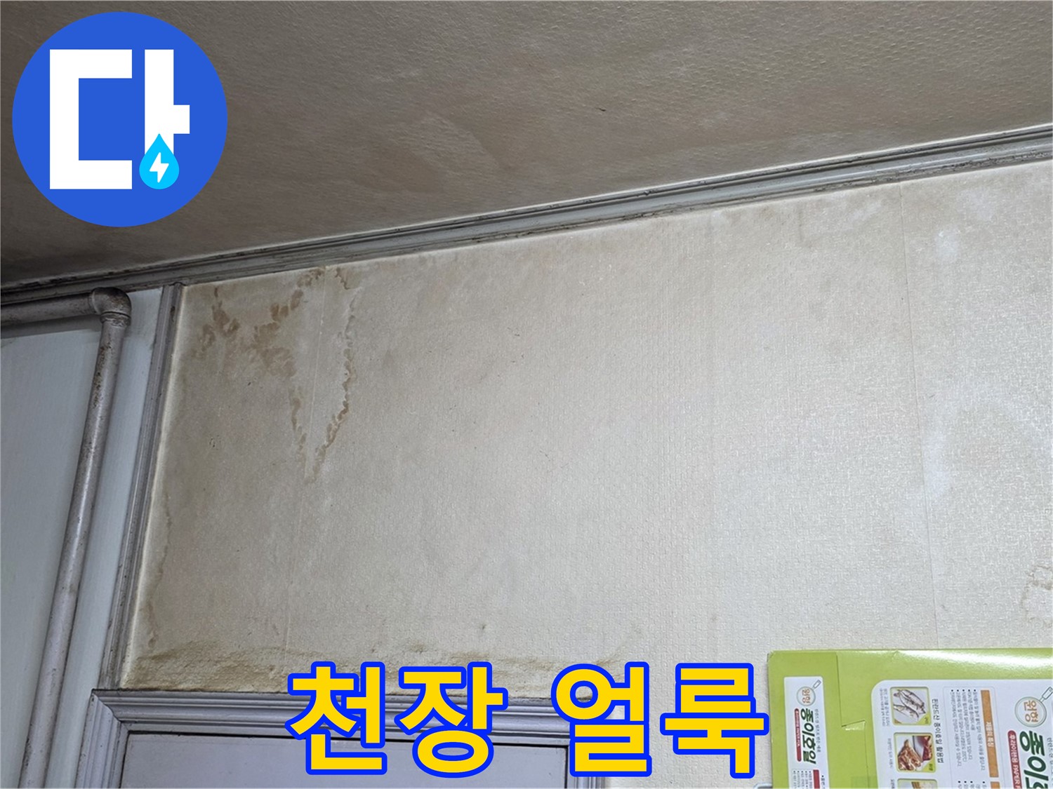기흥구 아파트 천장 - 누수 의심 얼룩