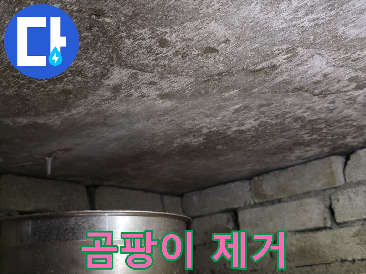 용인 처인구 원일아파트 - 곰팡이 제거 작업 꼼꼼하게 진행
