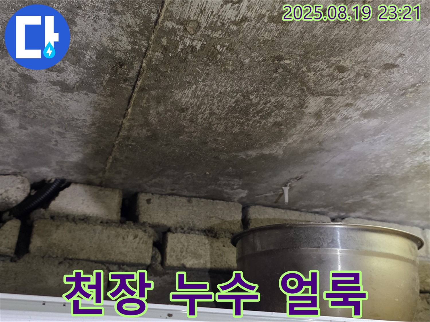 천장 누수 얼룩 - 곰팡이와 함께 누수 얼룩이 넓게 퍼져 있는 모습