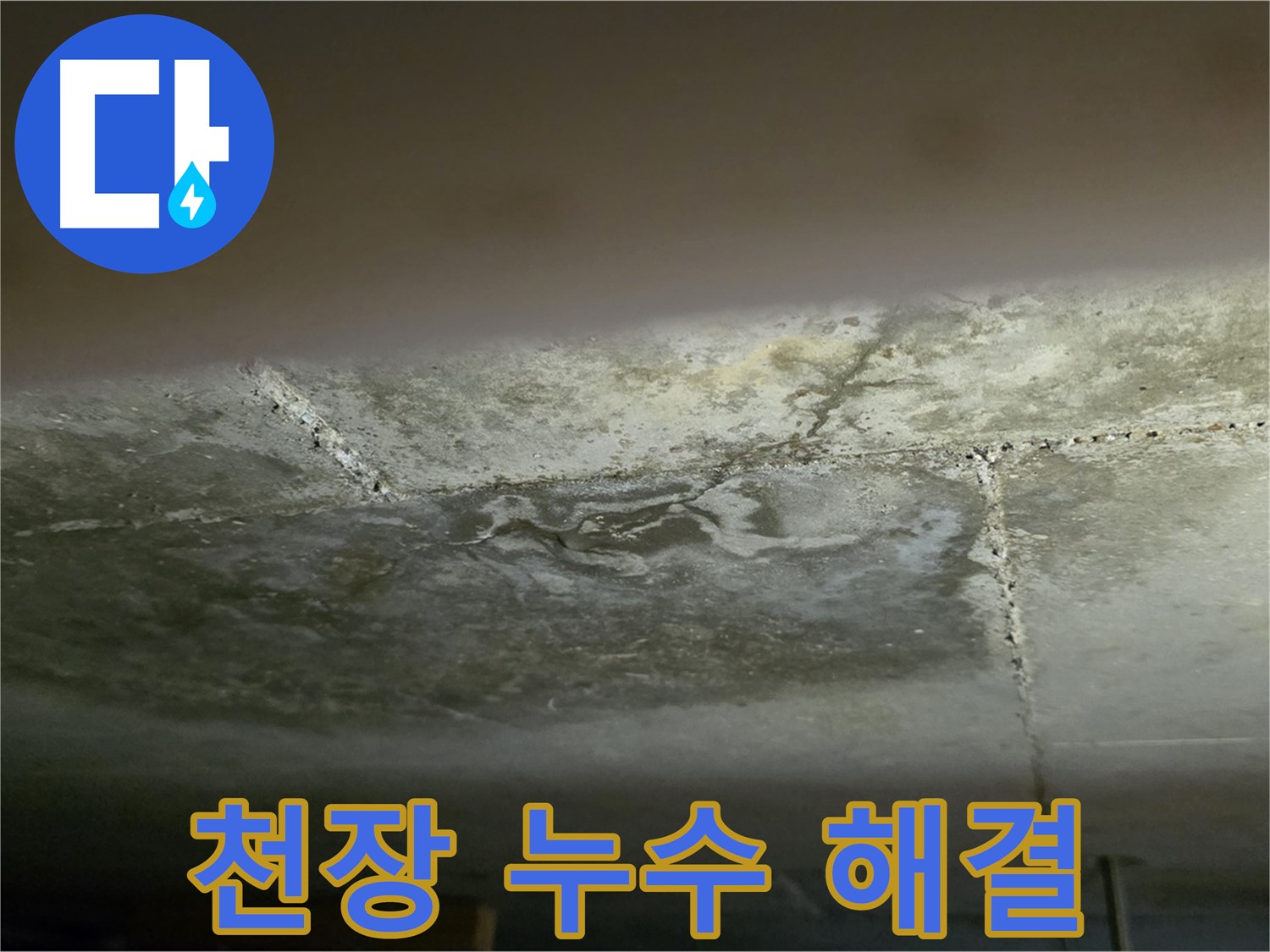 일산서구 하이파크 아파트 천장 누수 해결 - 합리적인 누수 견적 제공