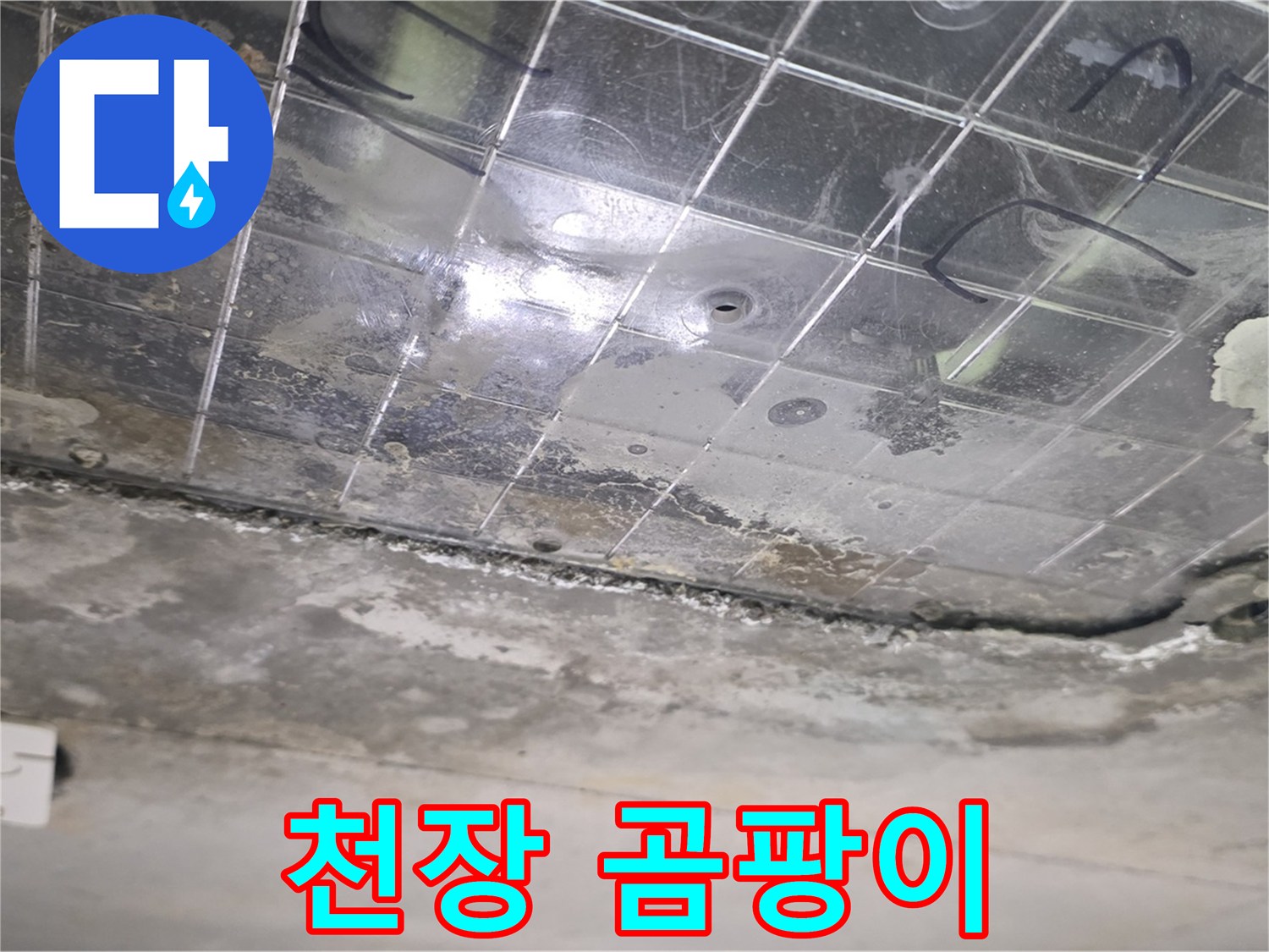 천장 곰팡이 - 누수로 인해 천장에 곰팡이가 심하게 번식한 모습입니다.