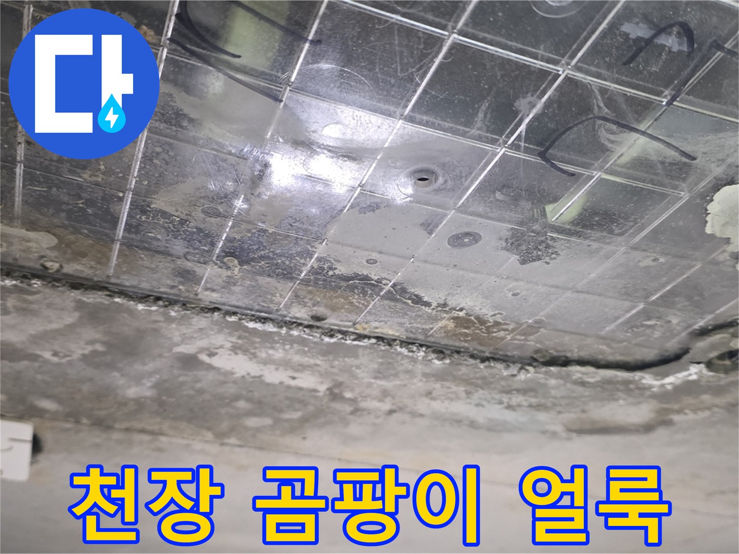 천장 곰팡이 얼룩 - 누수로 인해 천장에 곰팡이가 생긴 얼룩이 보입니다.