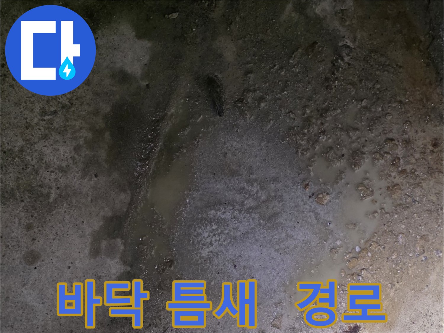 강원도 철원군 서면 와수리 누수 현장 - 바닥 틈새를 통해 누수가 발생하고 있을 가능성이 있습니다.