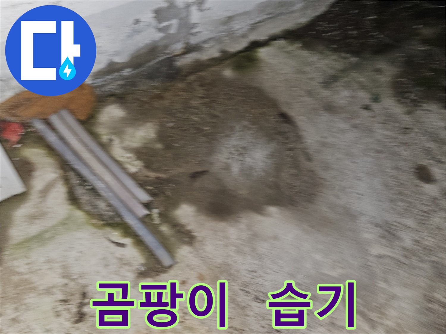 곰팡이 냄새와 습기는 누수 초기 증상일 수 있습니다.