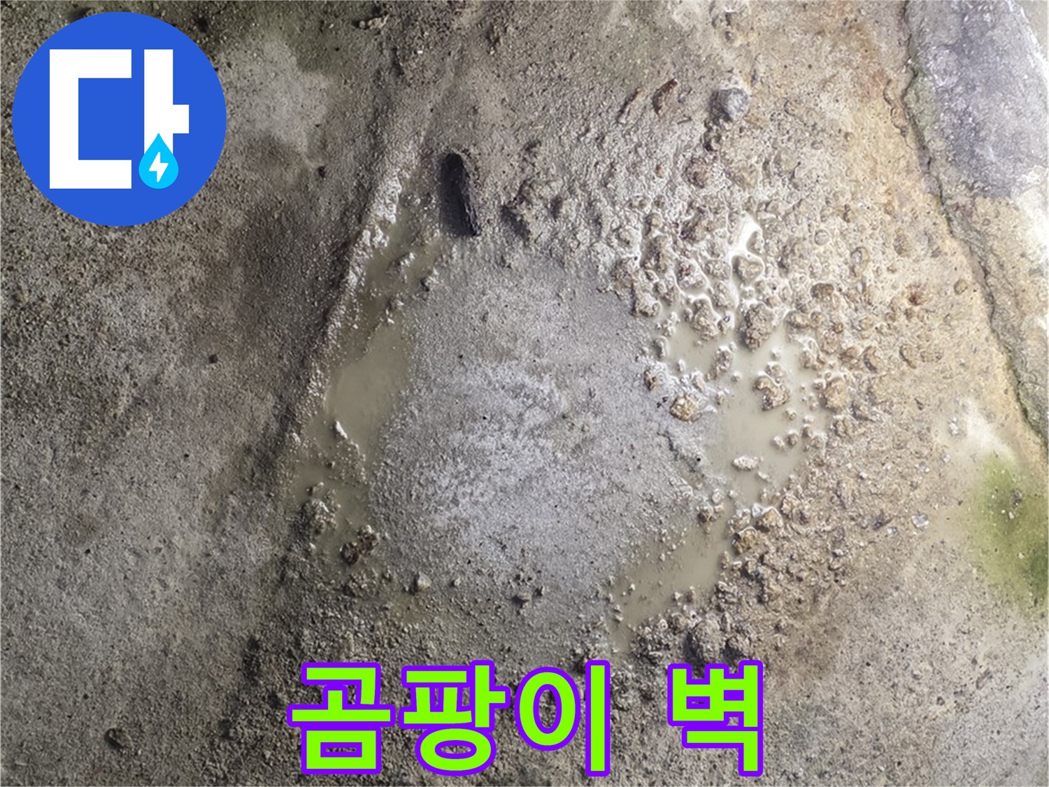 철원군 서면 와수리 누수 - 곰팡이 슨 벽은 누수 해결이 최우선입니다 - 건강을 위해 빠른 조치가 필요합니다.