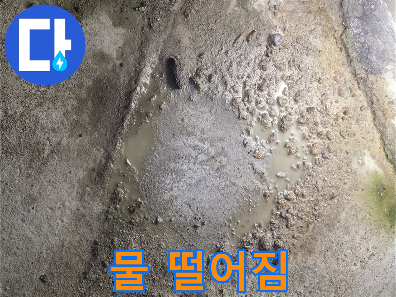 철원군 서면 와수리 누수 - 물 떨어지는 소리, 빠른 누수 탐지로 피해를 최소화하세요.