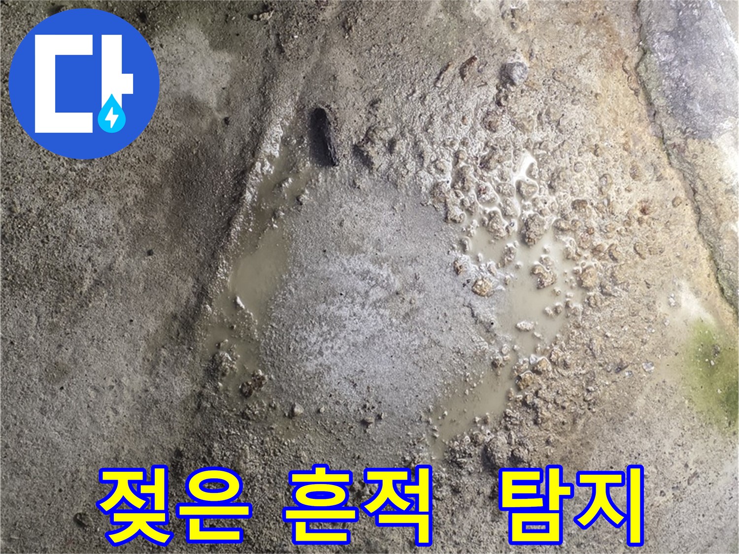 철원군 서면 와수리 누수 - 젖은 흔적, 누수 탐지 베테랑이 확실하게 책임지고 해결합니다.