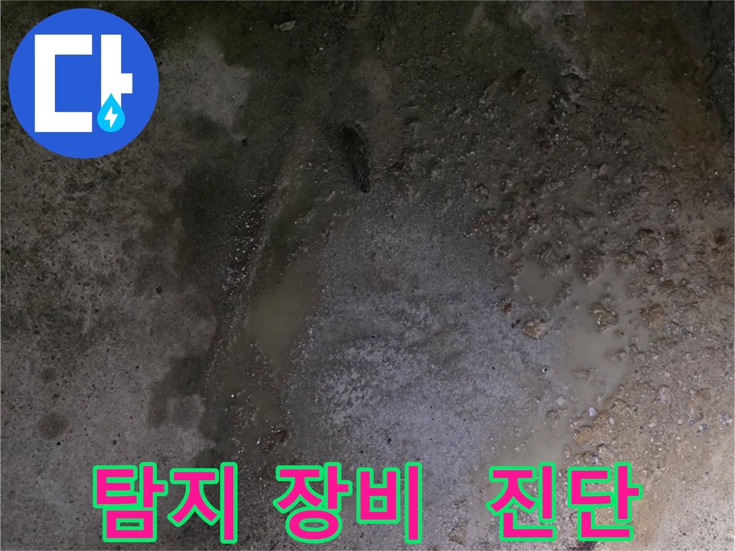 철원군 서면 와수리 누수 현장 - 누수 탐지 장비를 사용하여 정확한 누수 지점을 진단하고 있습니다.