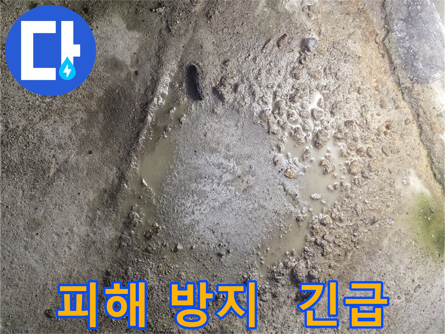 철원군 서면 와수리 누수 현장 - 누수 피해 확산 방지를 위한 긴급 누수 해결 서비스 제공 모습입니다.