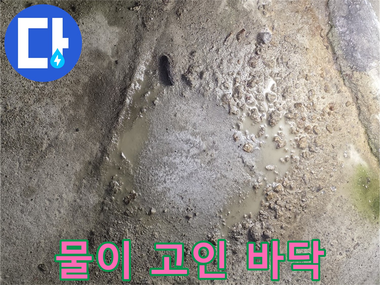 철원군 서면 와수리 누수 현장 - 물이 고인 바닥을 보여주며 누수 해결 전문가가 해결에 나서는 모습입니다.