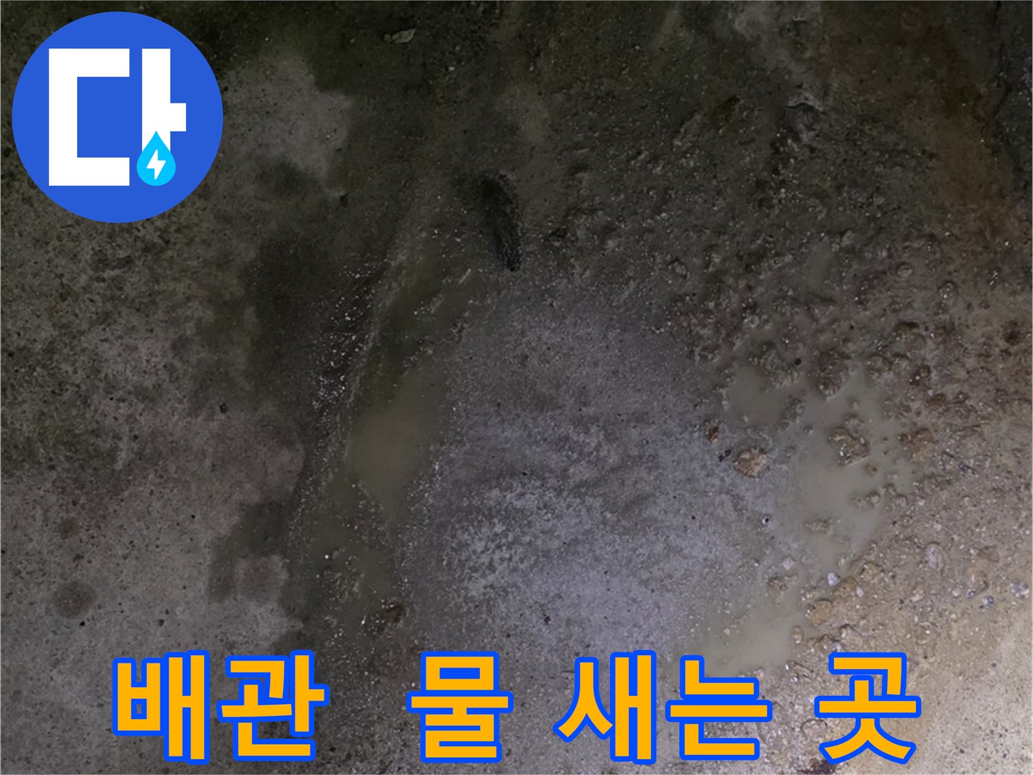 철원군 서면 와수리 누수 현장 - 배관에서 물이 새고 있는 모습입니다.