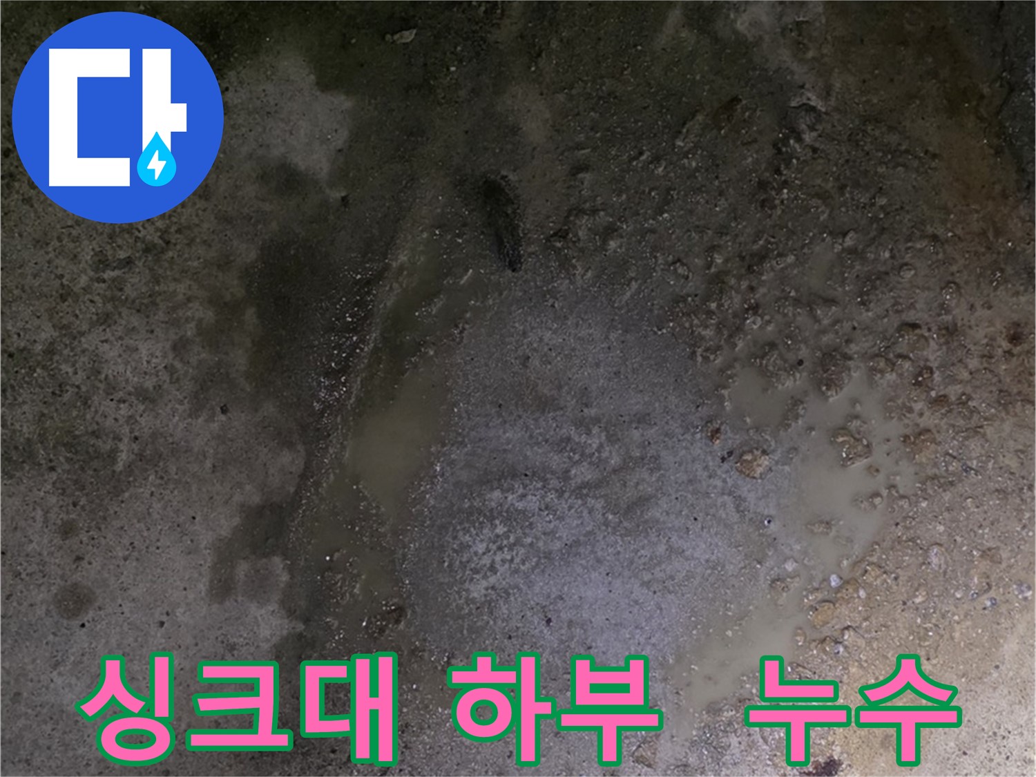 철원군 서면 와수리 누수 현장 - 싱크대 하부에서 누수가 발생하여 주방 전체를 점검하고 있습니다.