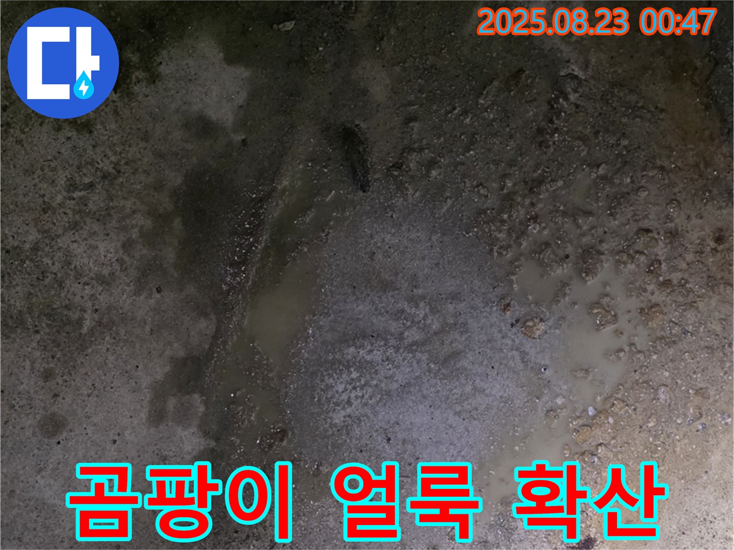 철원군 서면 와수리 누수 현장 - 콘크리트 바닥 습기 - 습기로 인해 벽에 곰팡이 얼룩이 점점 번지고 있습니다 - 건강에 해로운 영향을 줄 수 있습니다.