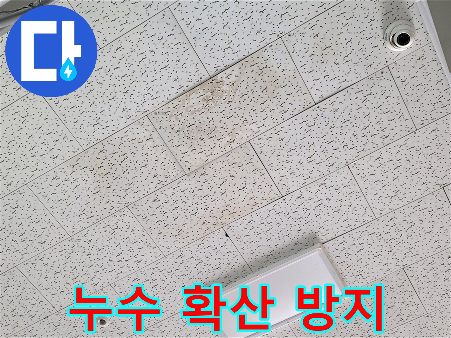 김포 구래동 누수 - 텍스 천장 누수, 누수 확산 방지를 위한 긴급 대응