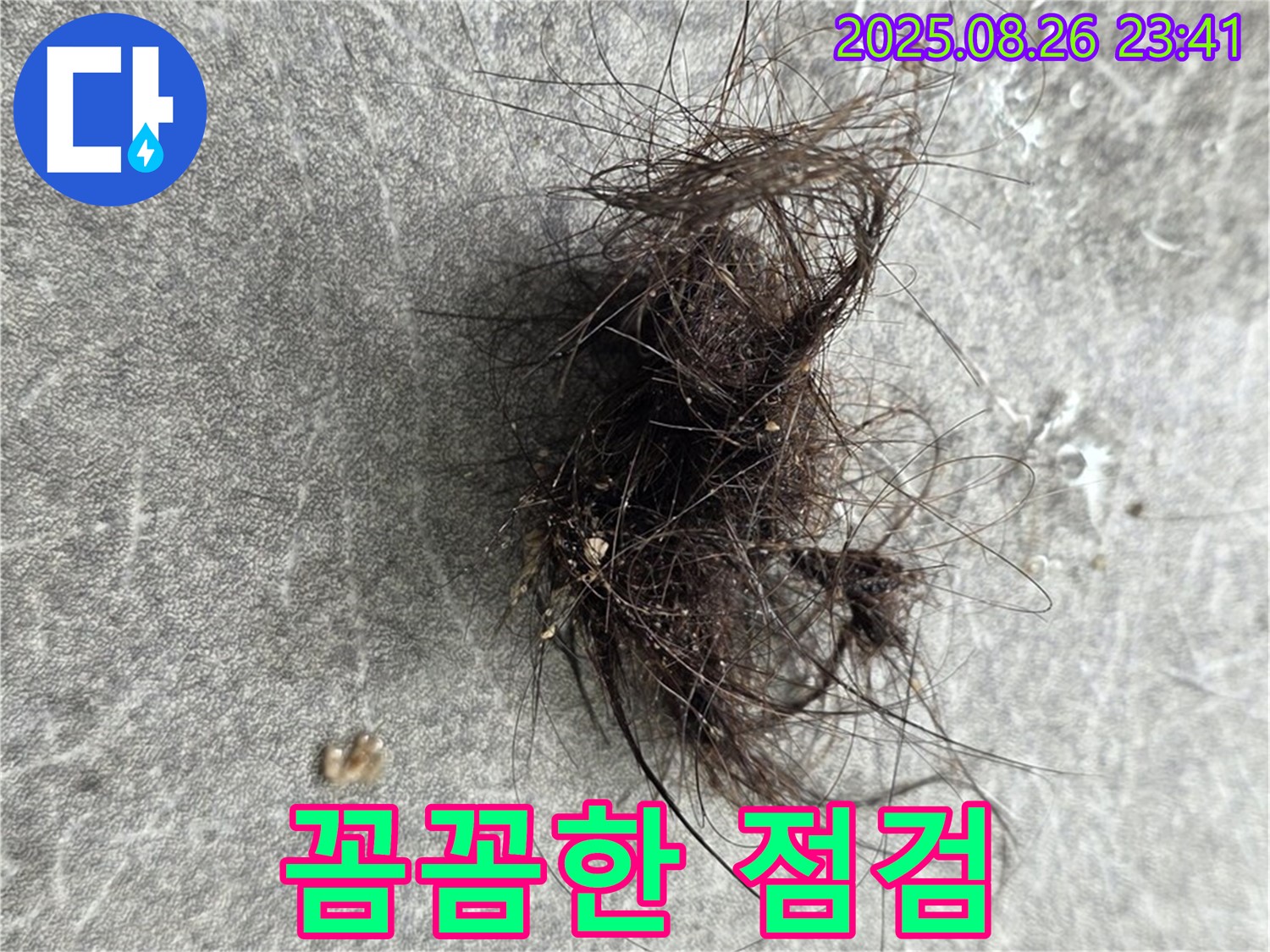 김포 장기동 누수탐지 - 꼼꼼한 누수 점검으로 배수구 막힘 해결!