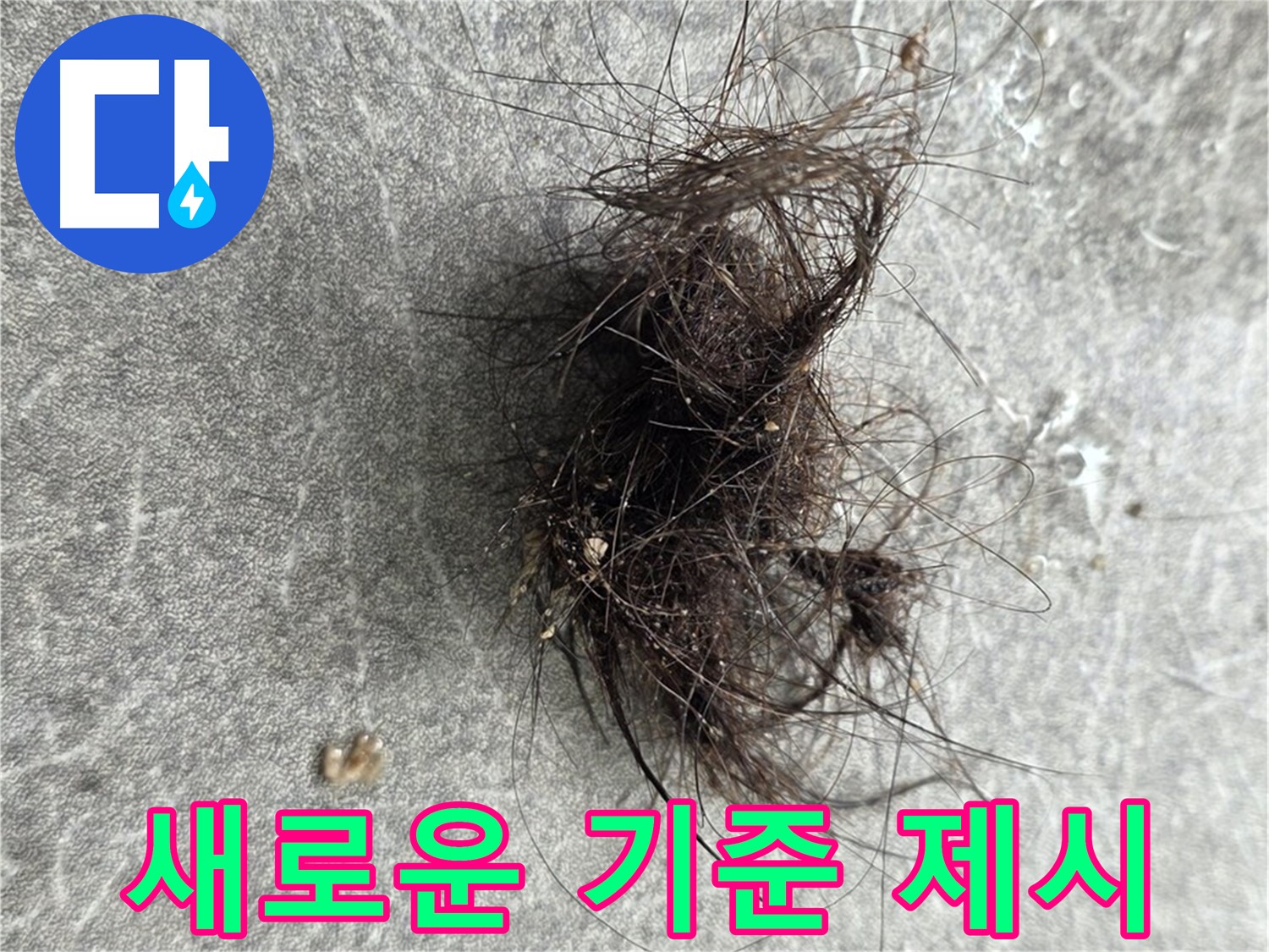 누수 탐지의 새로운 기준 제시 - 정확하고 신뢰할 수 있는 차별화된 누수 탐지 서비스를 제공합니다.