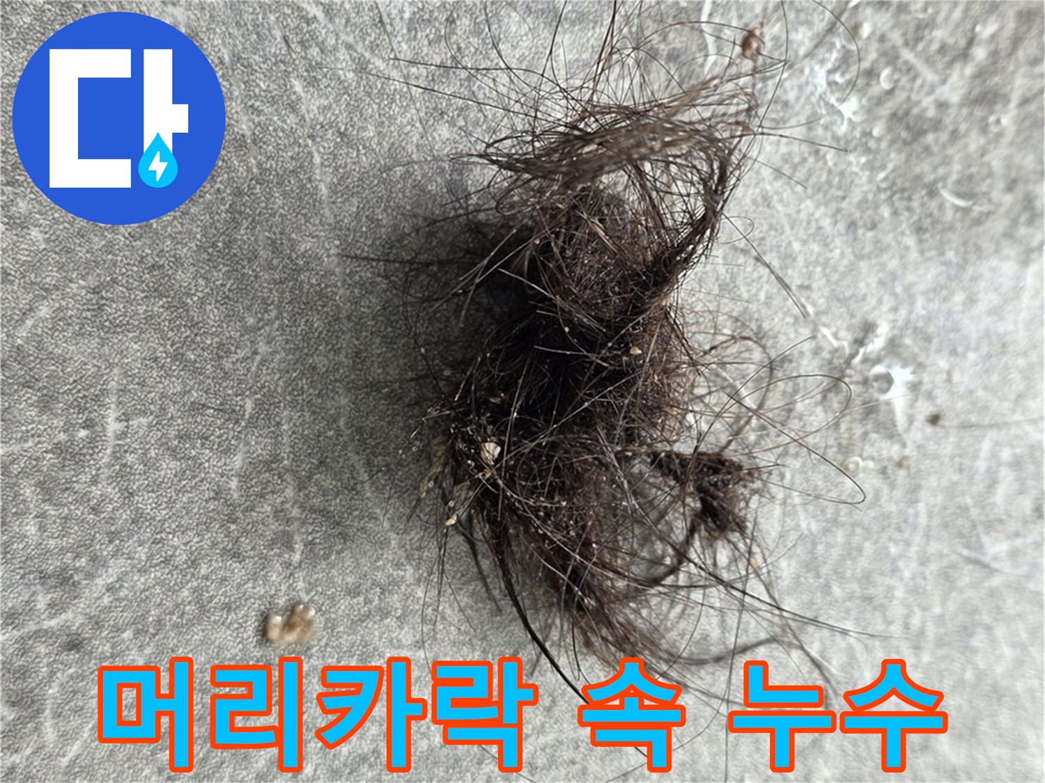 머리카락 속 누수 - 머리카락 뭉치 속에 숨겨진 누수, 놓치지 않고 꼼꼼하게 확인합니다.