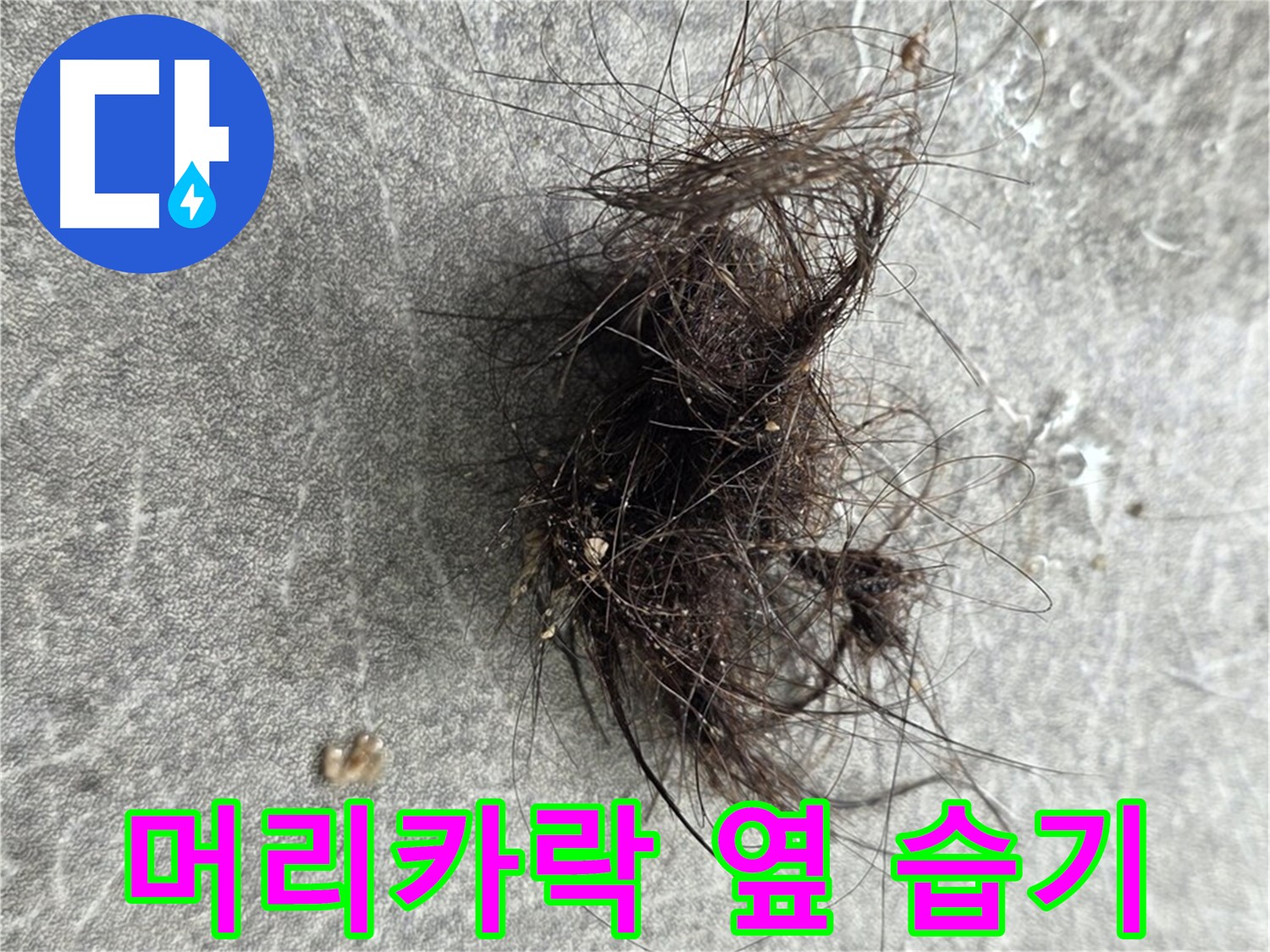 머리카락 옆 습기 - 머리카락 옆 습기, 미세 누수를 의심해 보세요.