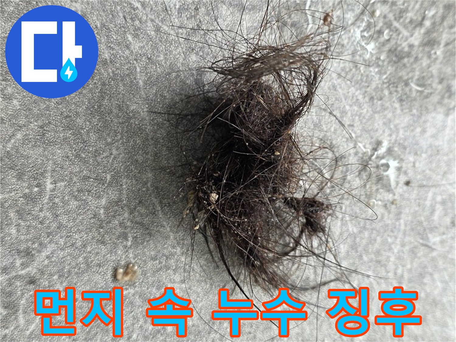 먼지 속 누수 징후 - 작은 먼지 뭉치도 놓치지 않는 꼼꼼한 누수 점검.