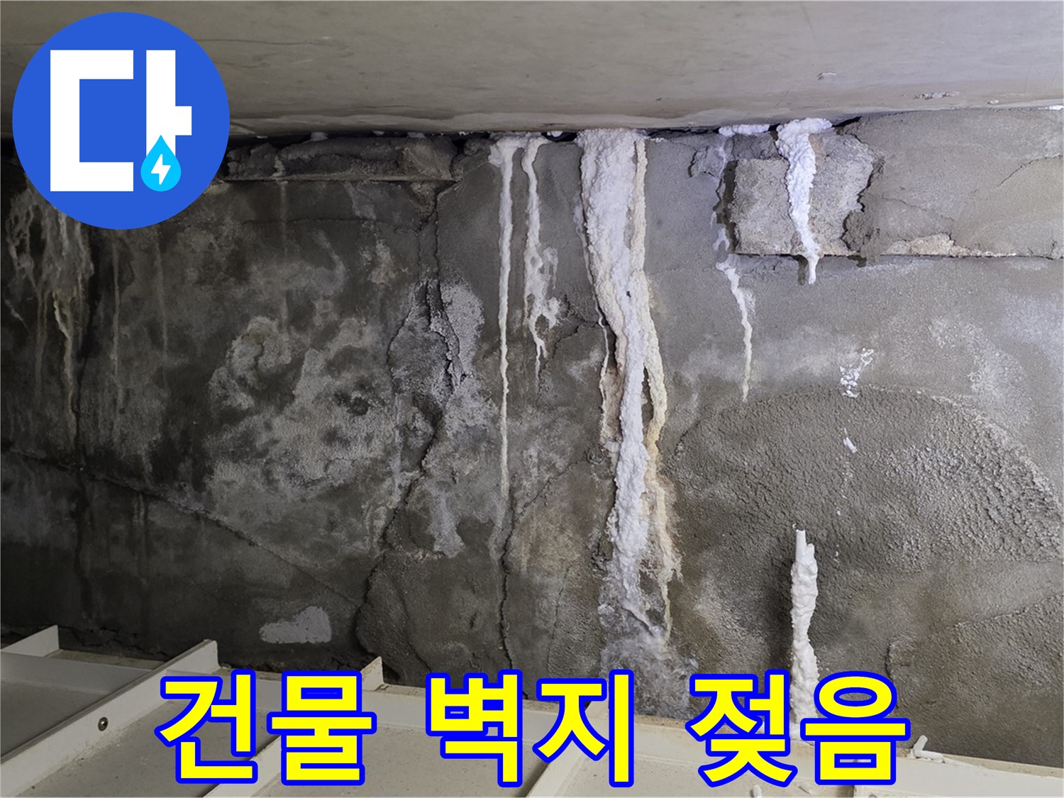 건물 벽지가 젖어 있는 누수 초기 증상 - 전문가 문의