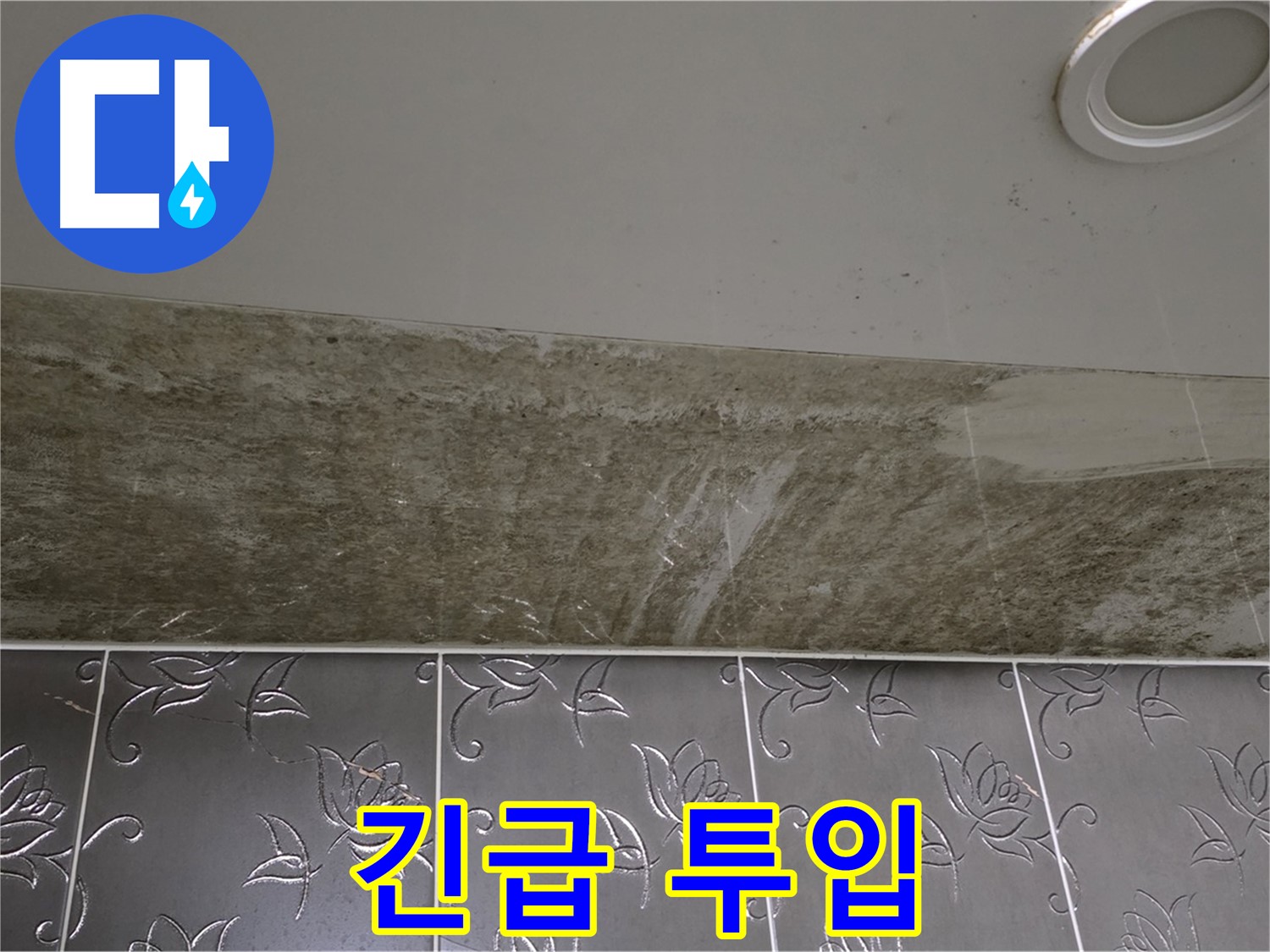 곰팡이 심각한 화장실 천장 - 누수 해결 긴급 투입