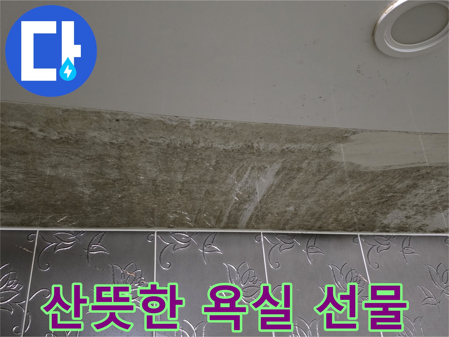곰팡이 핀 화장실 천장 - 곰팡이 싹 OUT, 산뜻한 욕실 선물