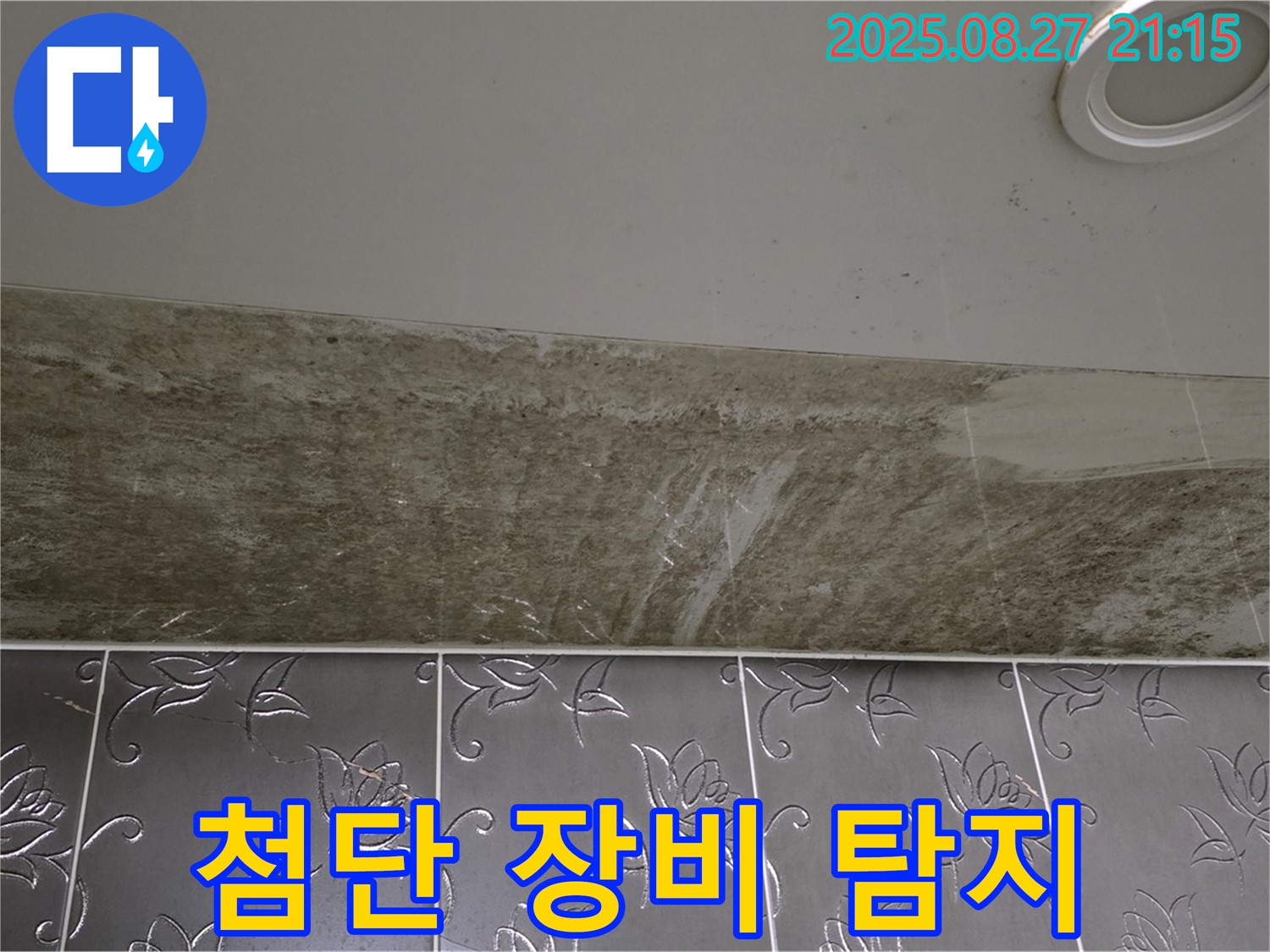 분당 누수탐지 - 운중동 산운마을 아파트, 곰팡이 심한 화장실 천장 누수를 최첨단 장비로 정확하게 찾아드립니다.