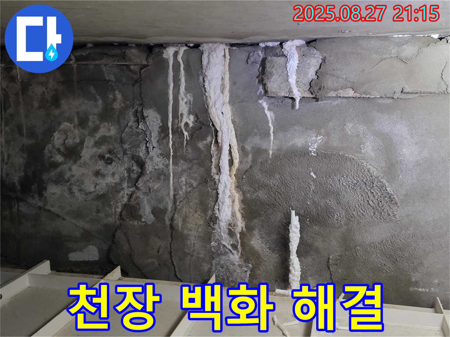 분당 운중동 산운로 121 주차장 천장 - 백화현상을 완벽하게 해결하고 깔끔하게 마무리된 시공 현장을 보여주는 사진입니다.