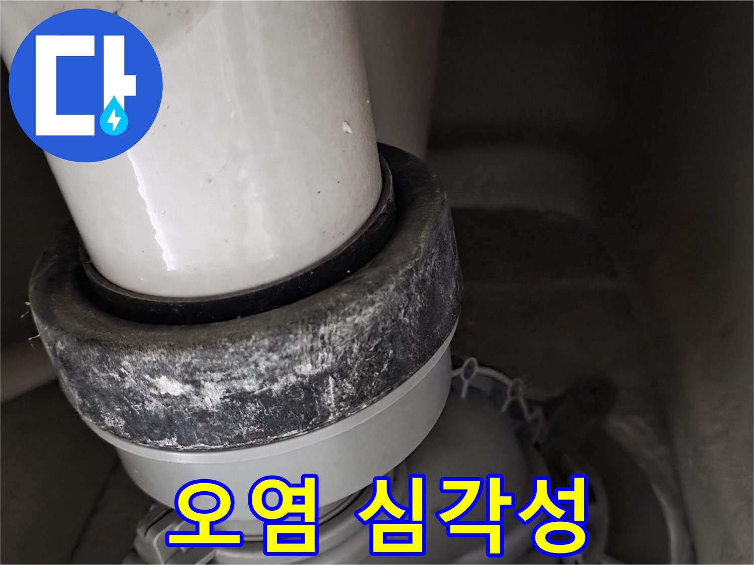 분당 운중동 산운마을 6단지 변기 누수 - 오염의 심각성을 보여주는 사진