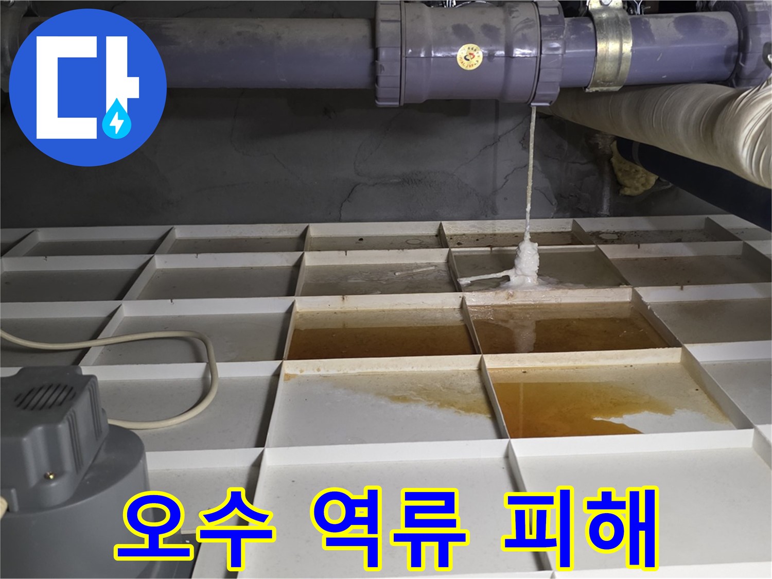 분당 운중동 산운마을 6단지 아파트 오수 역류 피해 모습 - 위생 문제와 악취 발생 우려가 있습니다.