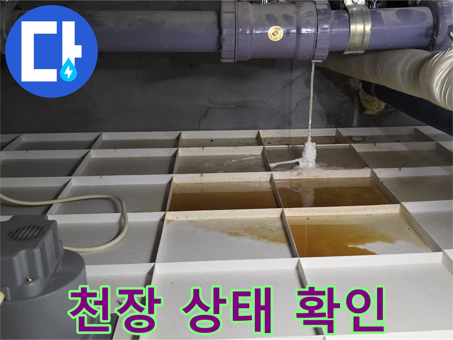 분당 운중동 산운마을 6단지 아파트에서 누수 발생 지점 주변 천장 상태를 확인하는 모습 - 꼼꼼하게 살펴봅니다.