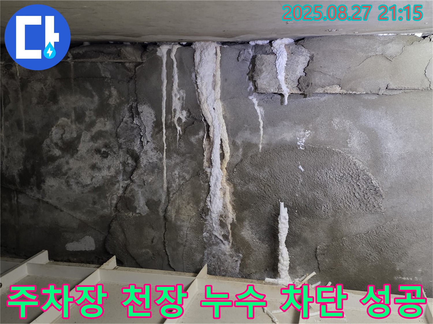 분당 운중동 산운마을 6단지 지하 주차장 천장 누수 - 완벽한 누수 차단 시공으로 더 이상 누수 걱정 없는 주차 환경을 만들었습니다.