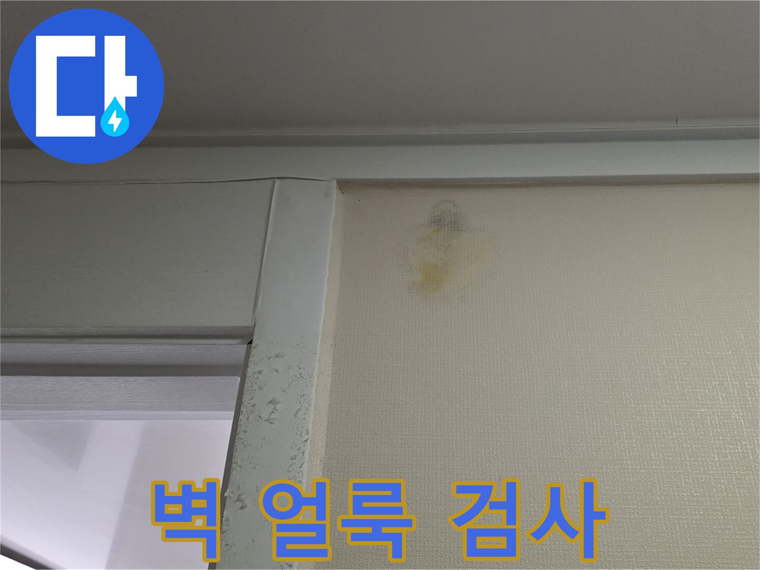 분당 운중동 산운마을 아파트 - 벽 얼룩 초기 누수 의심, 내시경 검사