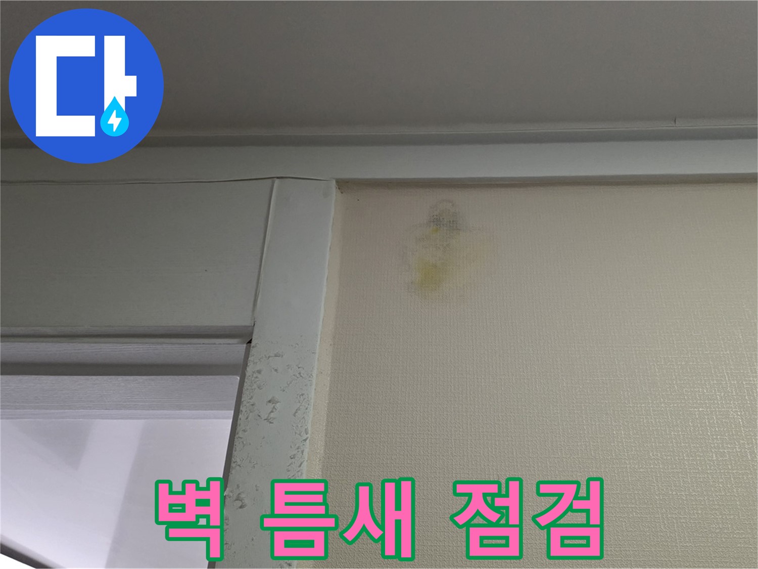 분당 운중동 산운마을 아파트 벽 틈새 누수 - 초기 발견 및 정밀 점검 진행