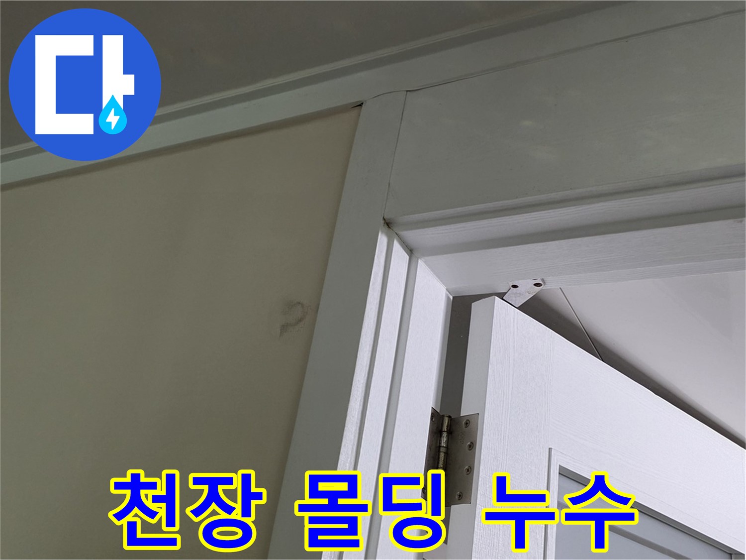 분당 운중동 산운마을 - 천장 몰딩에서 발견된 누수 - 꼼꼼한 점검으로 누수 원인을 파악하고 해결합니다.