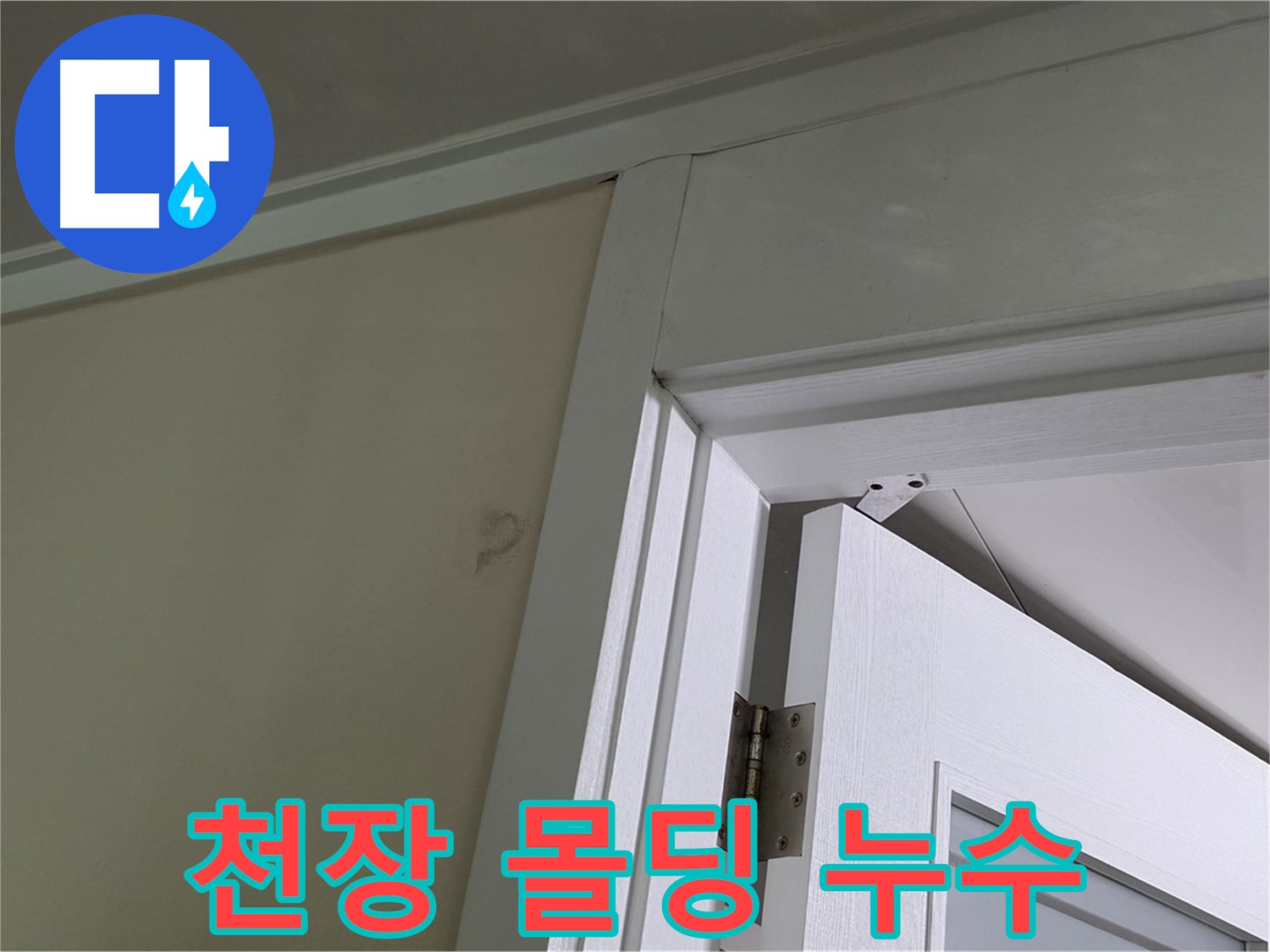 분당 운중동 산운마을 - 천장 몰딩에서 발견된 누수 - 꼼꼼한 점검으로 누수 원인을 파악하고 해결합니다.