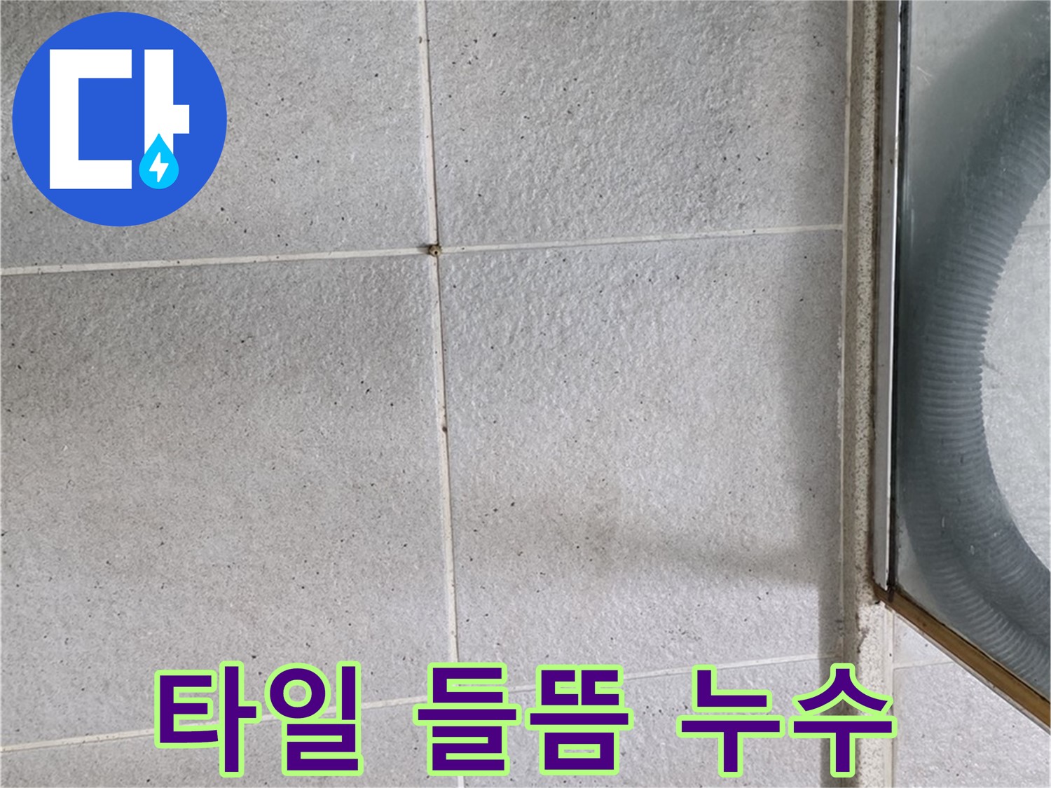 분당 운중동 욕실 타일 들뜸 현상과 누수 관계 - 타일 들뜸이 누수로 이어지는 원인과 해결책을 제시합니다.