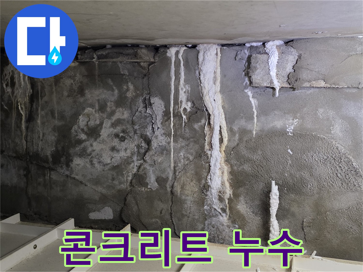 분당 운중동 지하주차장 콘크리트 누수 - 정밀 진단으로 문제 해결