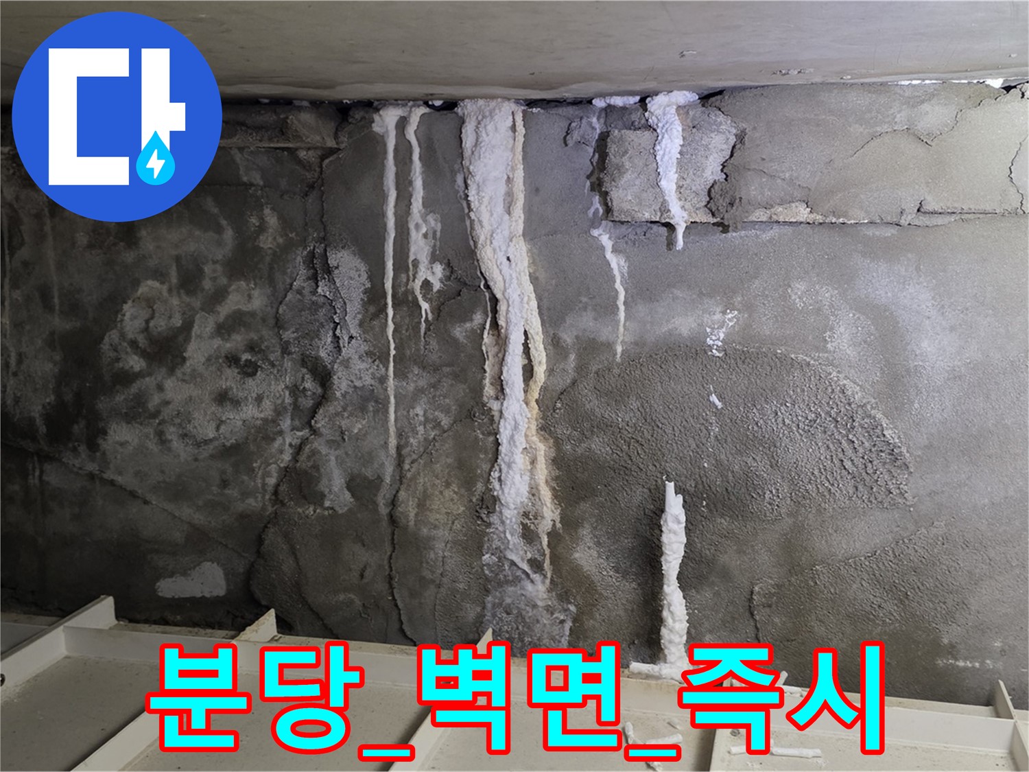 분당 콘크리트 벽면 - 긴급 누수, 즉시 방문 해결