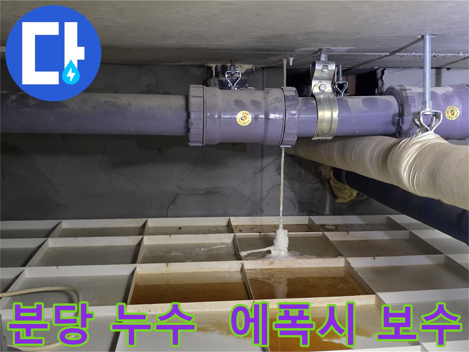 분당 오수 누수 - 배관 연결 부위 균열, 에폭시 충전으로 긴급 보수
