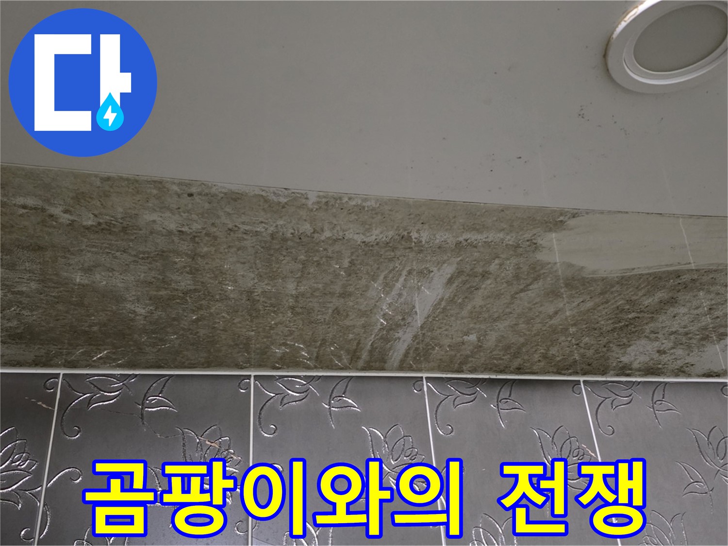 곰팡이 핀 화장실 천장 - 곰팡이와의 전쟁 선포