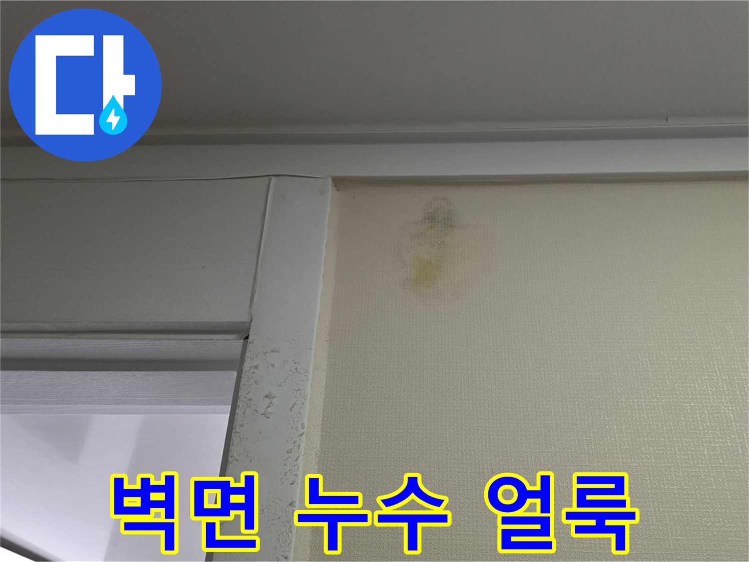 성남 분당 운중동 산운마을 6단지 아파트 벽면 누수 얼룩 - 누수 원인 파악 및 완벽 해결