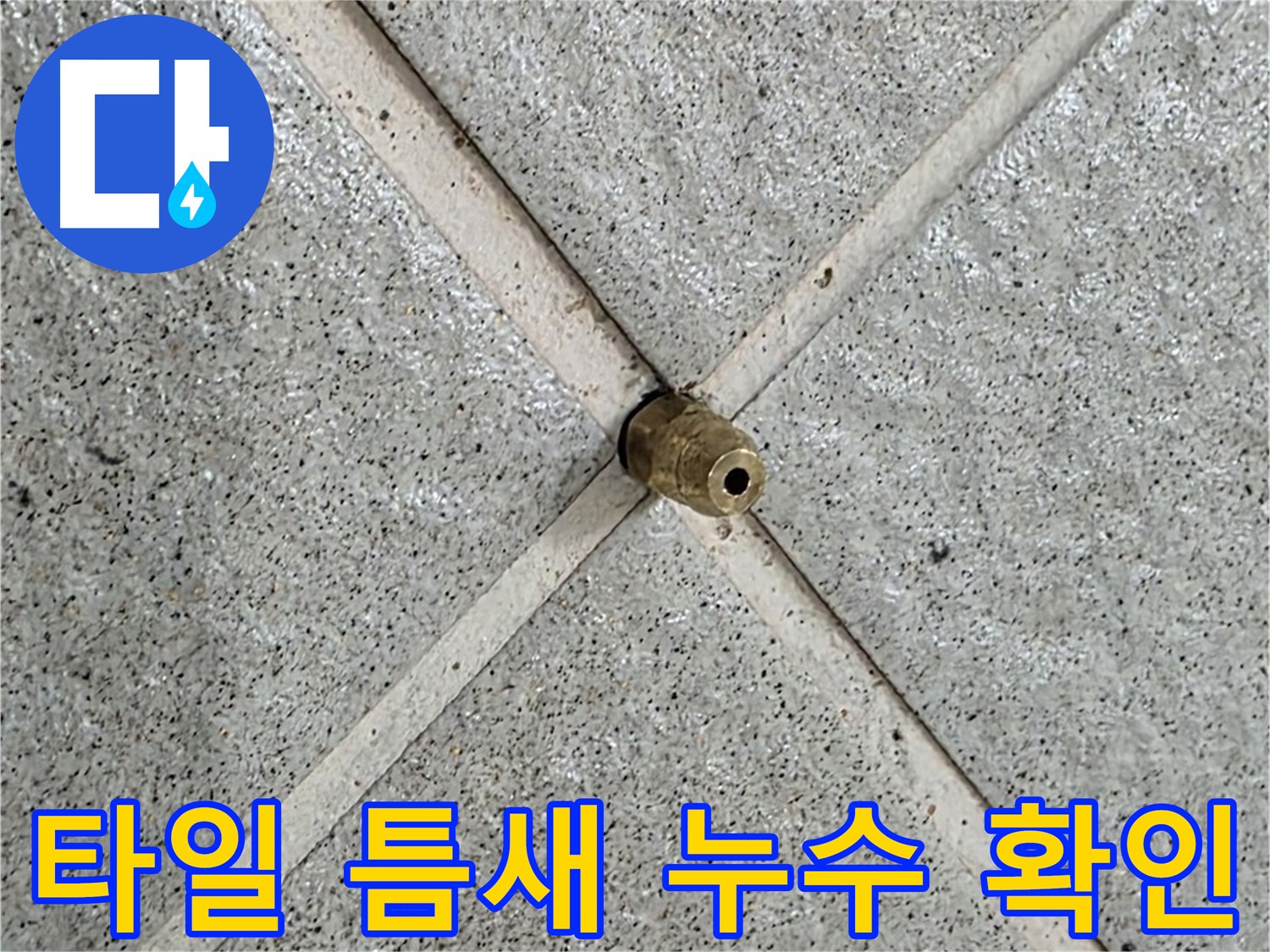성남 분당 운중동 산운마을 누수 - 타일 틈새로 스며드는 누수를 꼼꼼하게 확인했습니다.