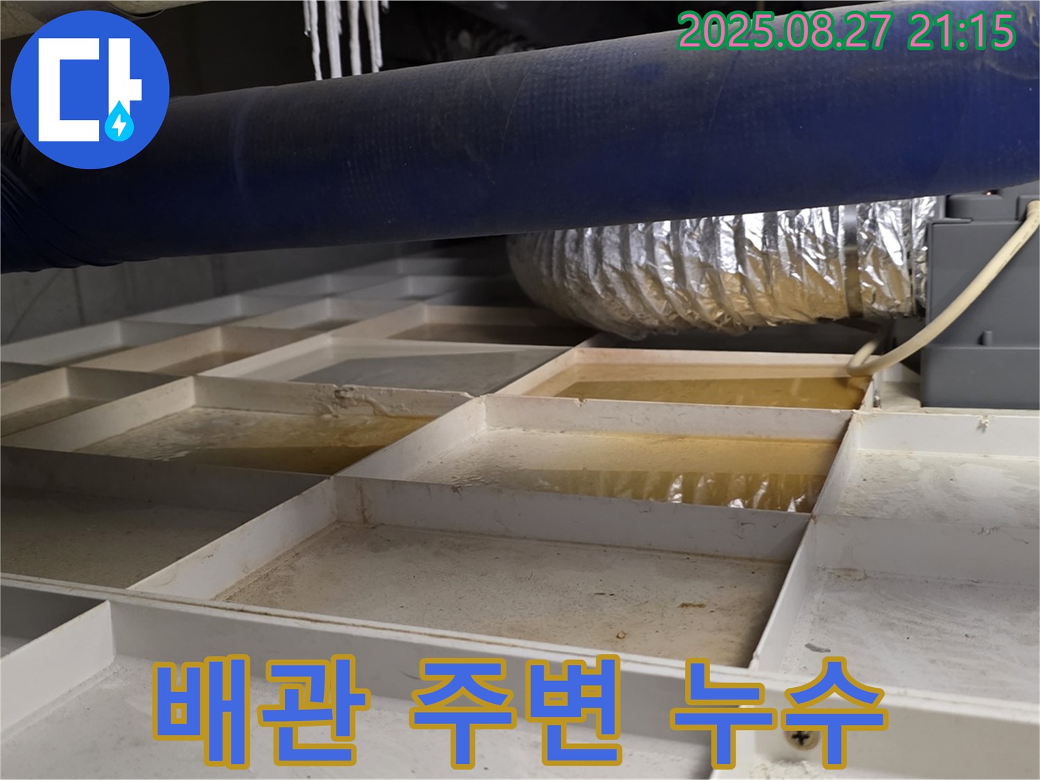 성남 분당 운중동 산운마을 누수 현장 - 배관 주변에 물이 고여 있는 모습입니다 - 누수 가능성이 높습니다.