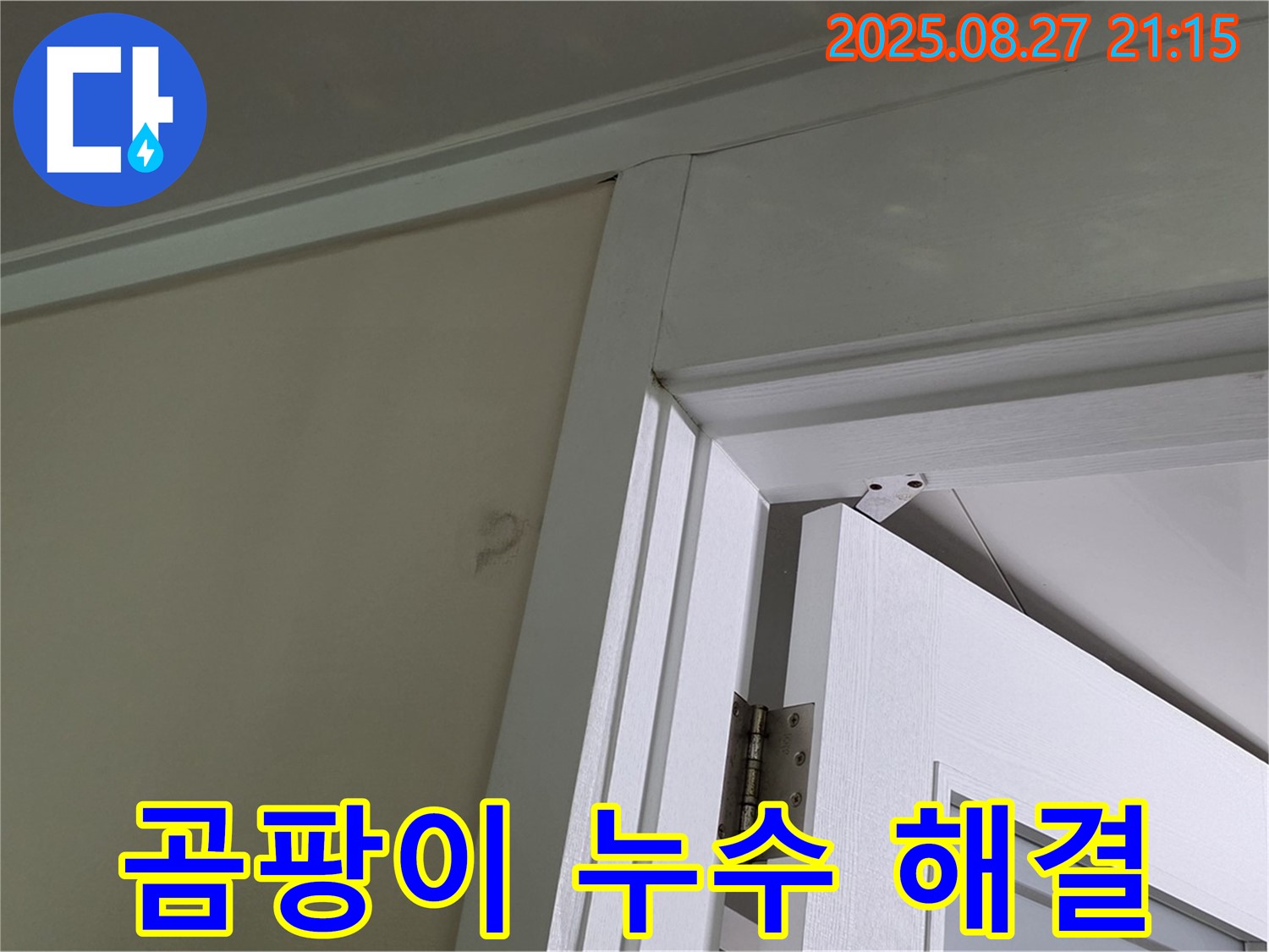 성남 분당 운중동 산운마을 아파트 문 상단 곰팡이 누수 - 곰팡이와 누수, 이제 안녕!