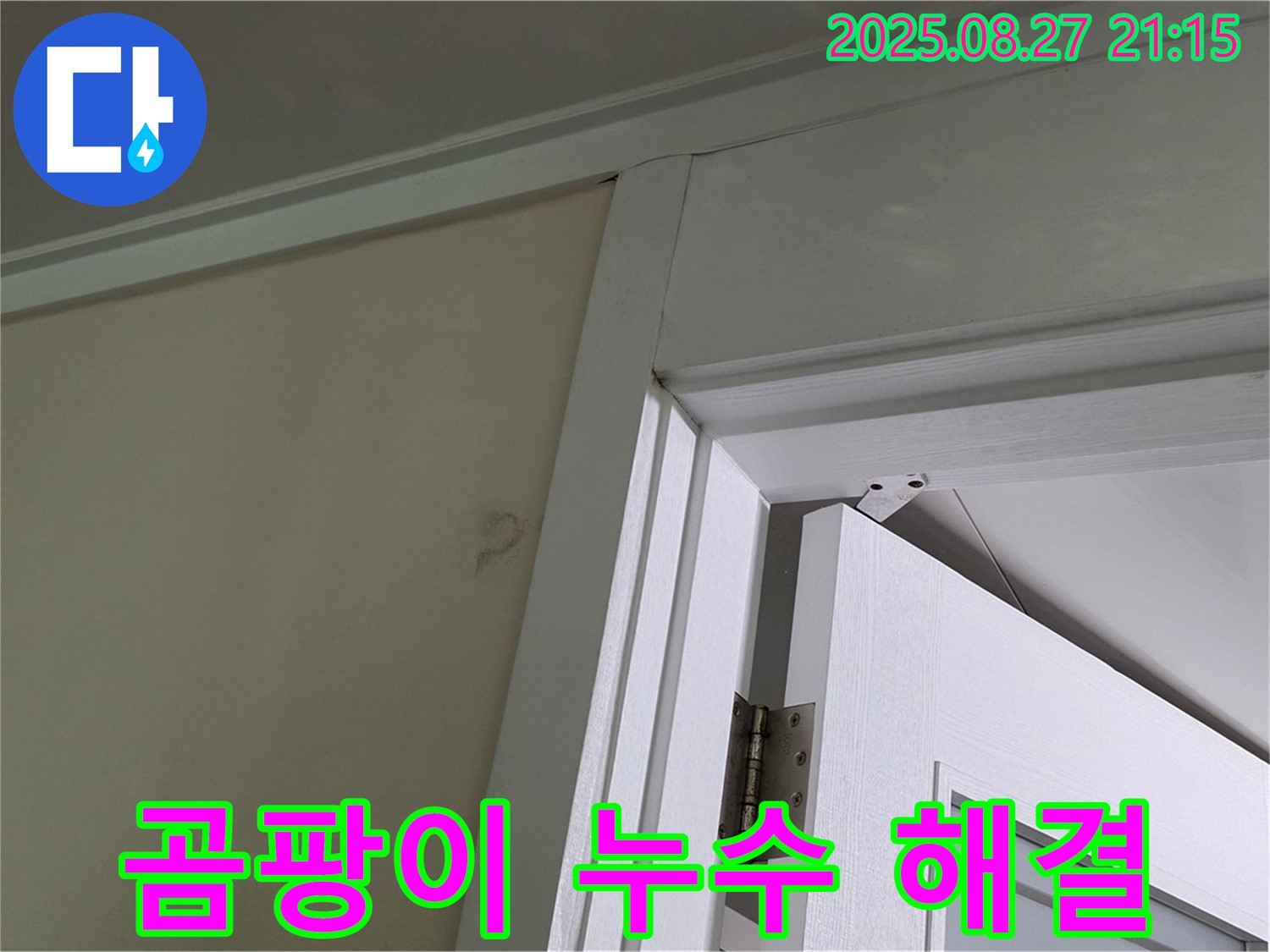 성남 분당 운중동 산운마을 아파트 문 위 천장 곰팡이 누수 해결 과정 - 누수 원인을 찾아 곰팡이까지 제거하는 과정을 담았습니다.